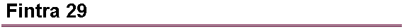 Fintra 29