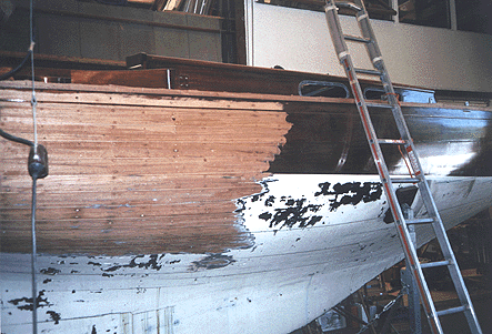 Fintra 15