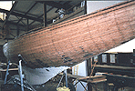 Fintra 19 klein