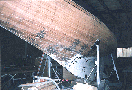 Fintra 22