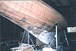 Fintra 22 klein